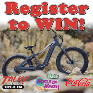 Quiet KatPioneer Electric Bike