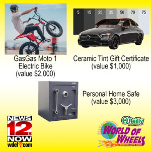 Chattanooga Grand Prize GasGas Ceramic Tint Home Personal Safe